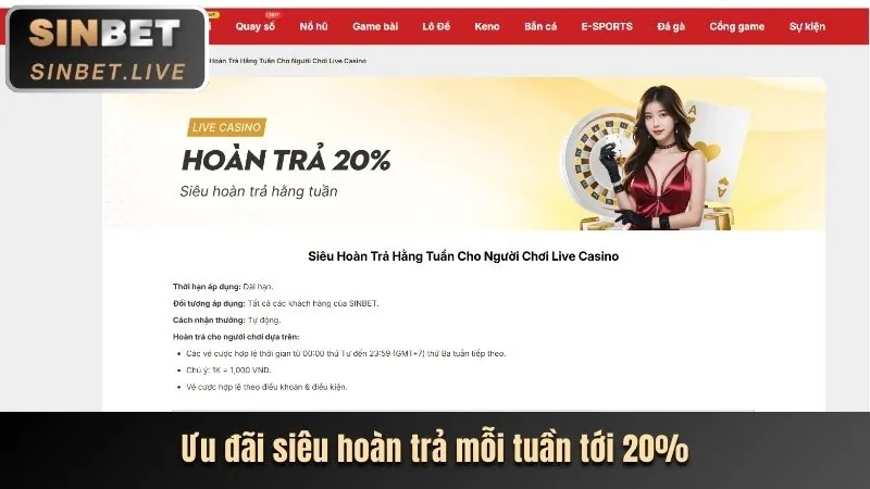 Giao diện cá cược thể thao trực quan trên thiết bị di động